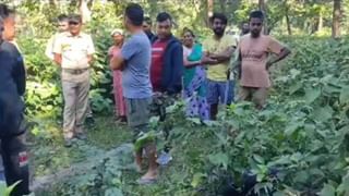 Alipurduar: কখনও ফোন, কখনও আবার হোয়াটসঅ্যাপ, রাজ্যের দাবি ছেড়ে KLO আবার এটাও করছে!