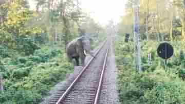 Alipurduar: দুদিন আগেই পরিবারের সদস্যদের রক্তে ভেসেছিল ওই এলাকা, আজ সেখানেই মৃত্যু মুখ থেকে ফিরল সে...