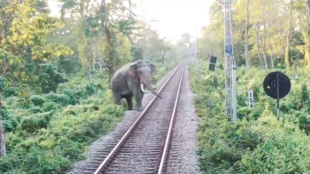 Alipurduar: দু'দিন আগেই 'পরিবারের সদস্যদের' রক্তে ভেসেছিল ওই এলাকা, আজ সেখানেই মৃত্যু মুখ থেকে ফিরল সে...