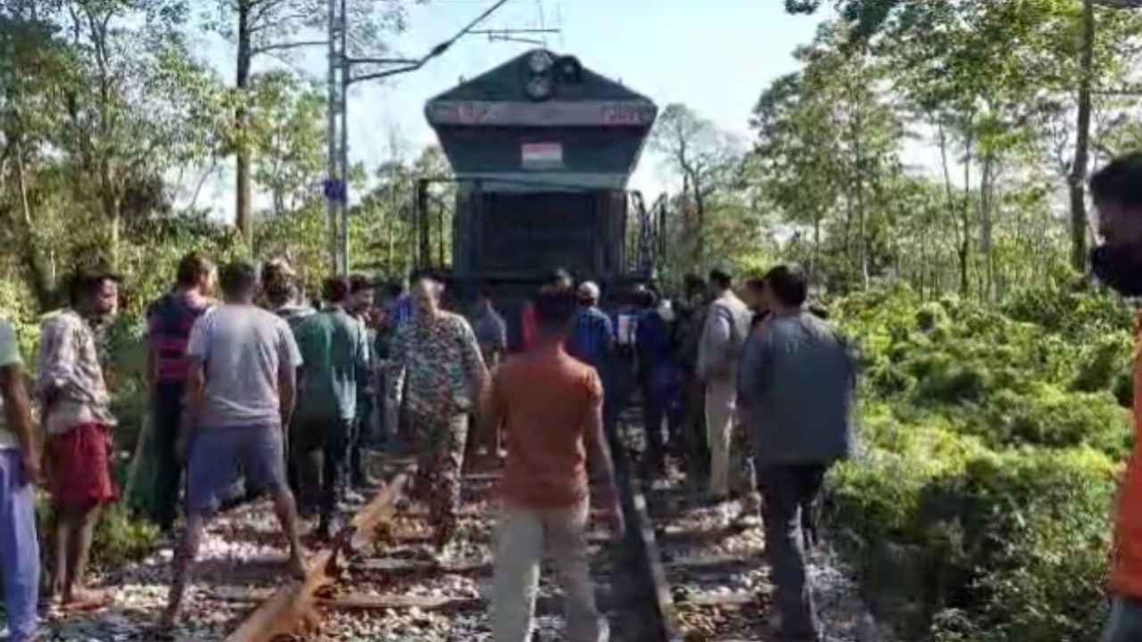 Alipurduar Elephant Death:  মা ছিটকে ৫০ মিটার দূরে, চাকায় জড়ানো দুই শিশুর শরীর! উত্তরবঙ্গের রেলপথ আবারও ভাসল রক্তে