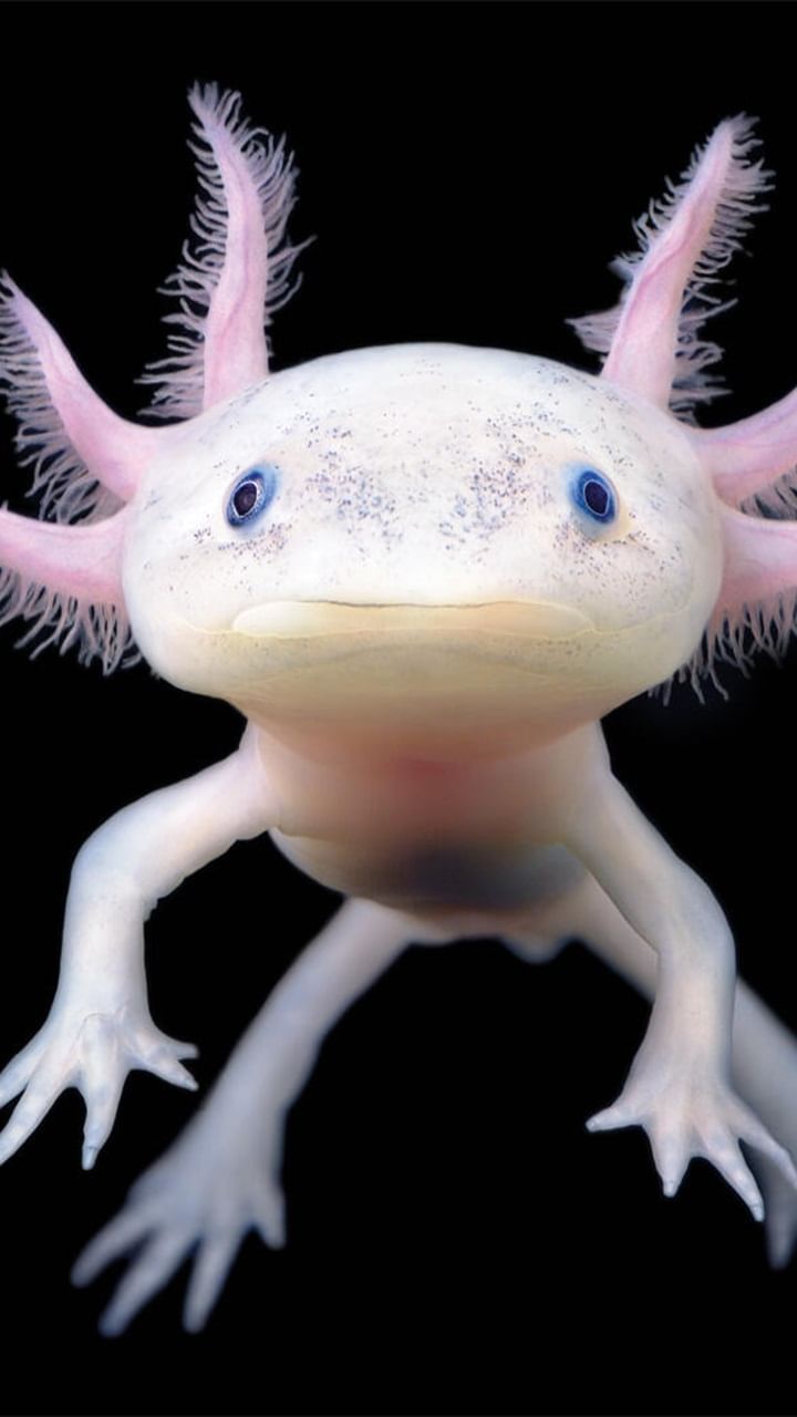 Jinsiy aloqa video boyicha tajribasizlik