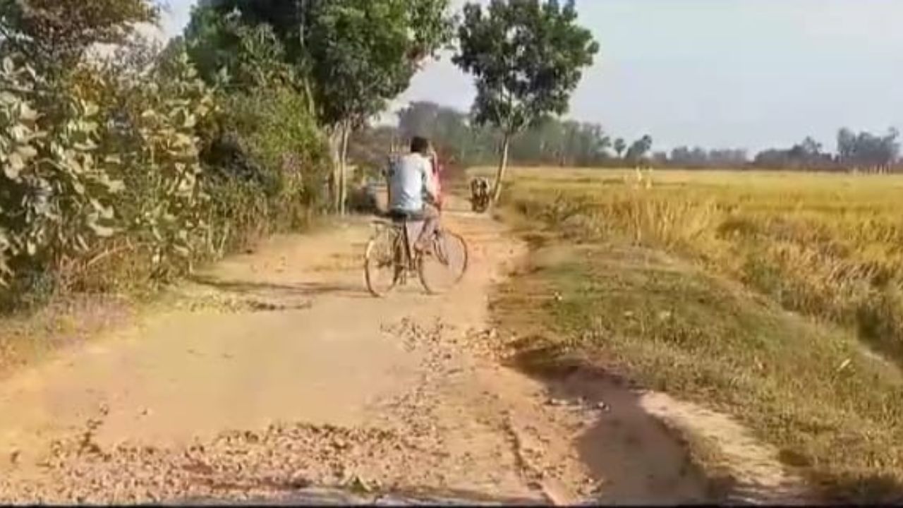 Maldah: ঢেউ খেলানো রাস্তায় যেতেই হয়ে যায় সন্তান প্রসব! দায় নিয়ে লড়াই বিজেপি-তৃণমূলের