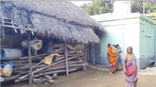 Bankura Elephant: গজরাজদের আটকাতে ‘খাবারের পাহাড়’ তৈরি হল বাঁকুড়ায়