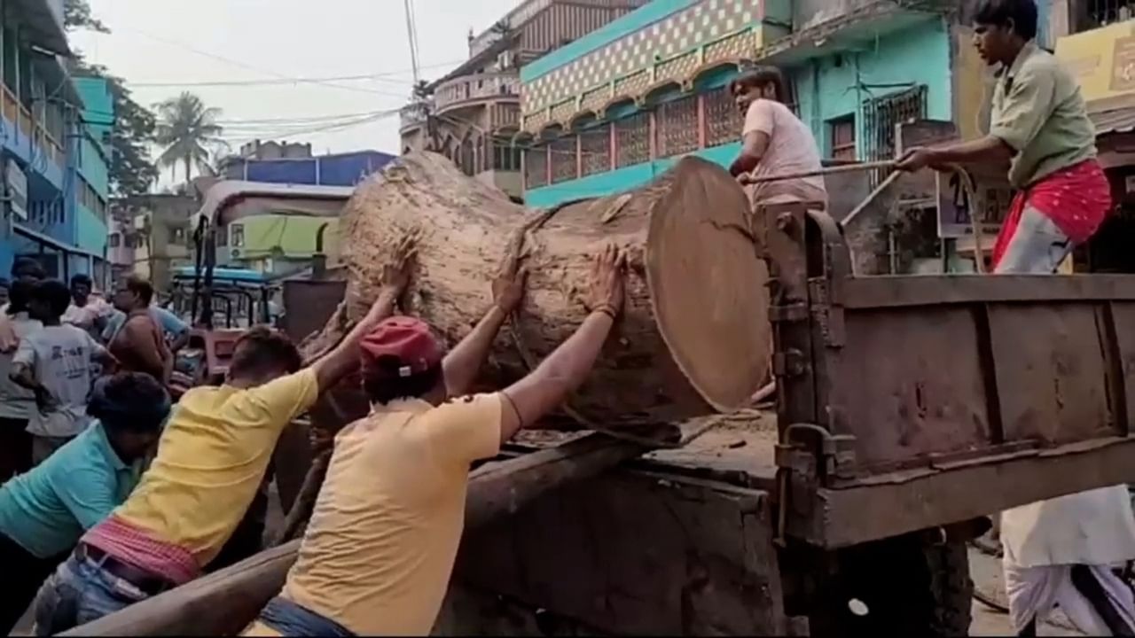 Bankura Tree Scam: কথা ছিল একটি গাছ কাটার, সেই সুযোগে...