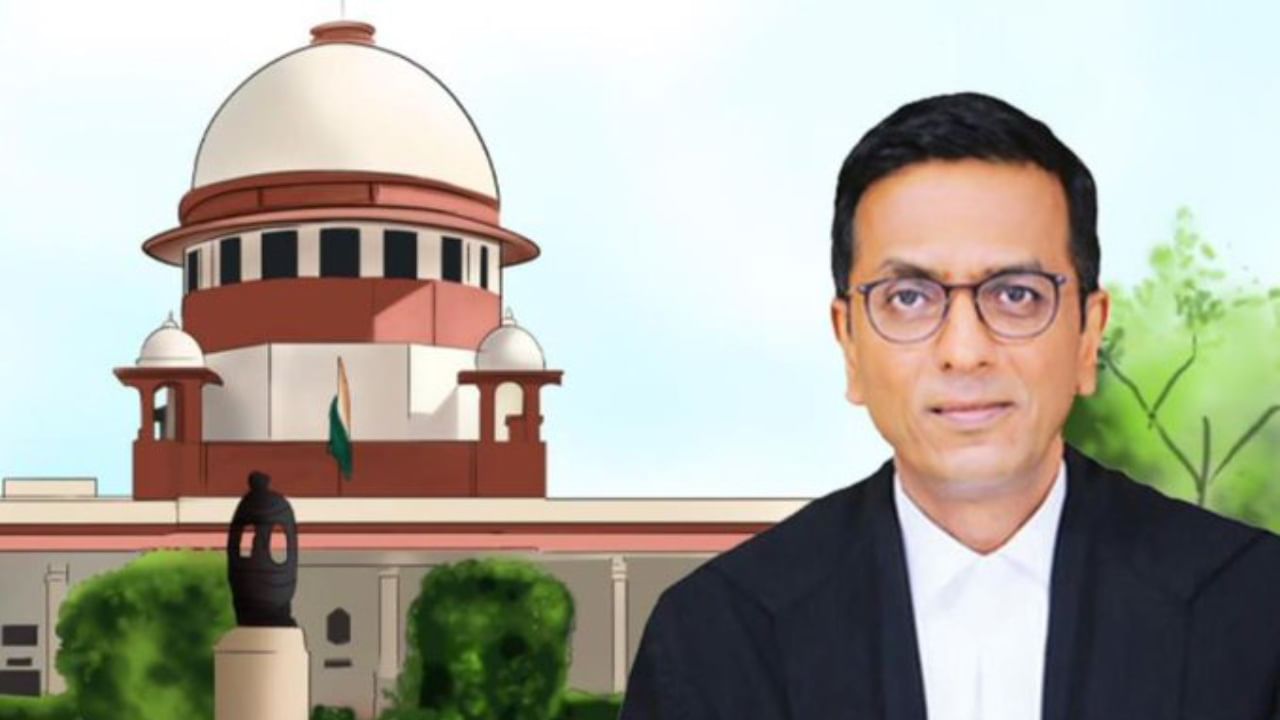 CJI DY Chandrachud: সুপ্রিম কোর্ট 'তারিখ পে তারিখ' আদালত হতে পারে না: প্রধান বিচারপতি