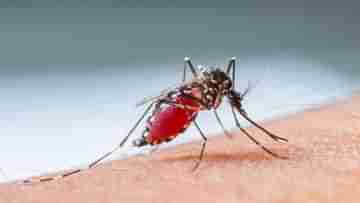 Dengue Death: বেলেঘাটা আইডি-তে ডেঙ্গি আক্রান্তের মৃত্যু