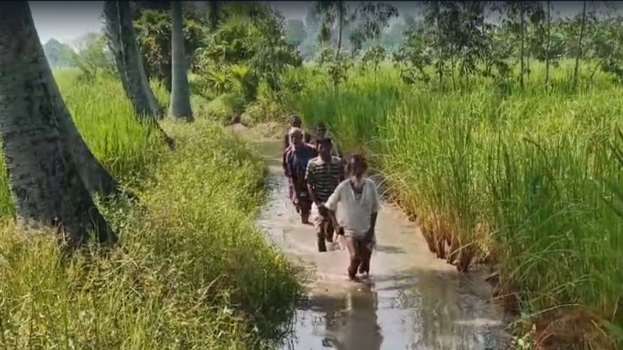 South 24 Parganas: এটা একটা রাস্তা, খরচ হয়েছে ৪০ লক্ষ টাকা! এ কেমন ‘উন্নয়ন’ দাঁড়িয়ে?