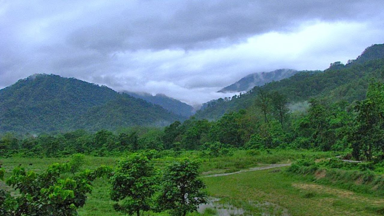 Siliguri:আমাদের ভুলেই ডুয়ার্সে বাড়বাড়ন্ত স্ক্রাব টাইফাস, জঙ্গল থেকে ঢুকে পড়েছে শহরে