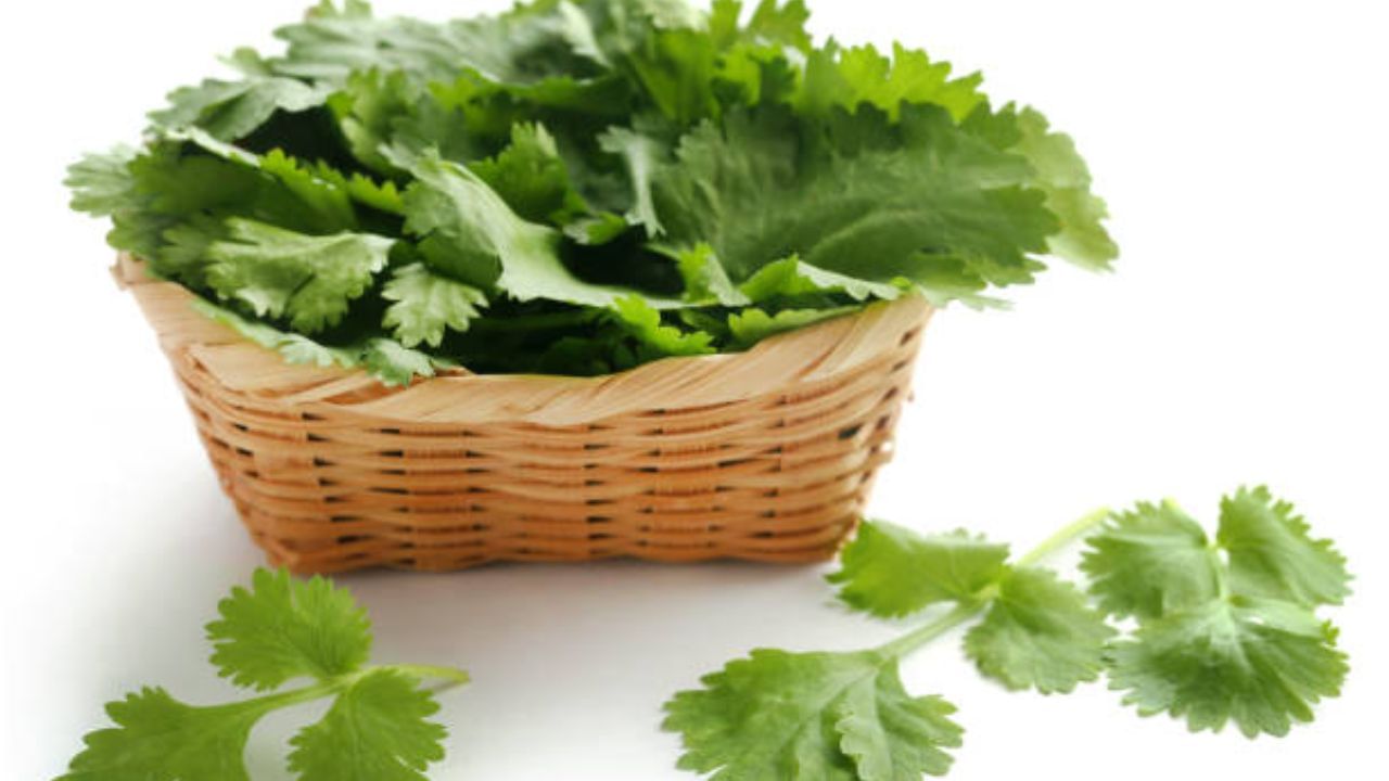 Green Chutney টকঝালমিষ্টি এমন চাটনি খেলে রুচি ফিরবে সহজে, শীতের এমন