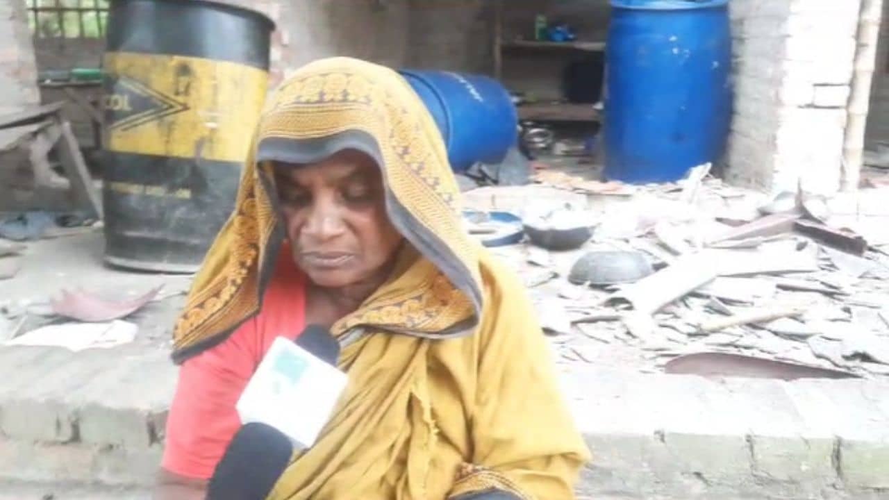 Joynagar: তৃণমূল বারণ করেছে, তাই পুলিশ ওদের ধরছে না... বিভীষিকার সাক্ষী বৃদ্ধা