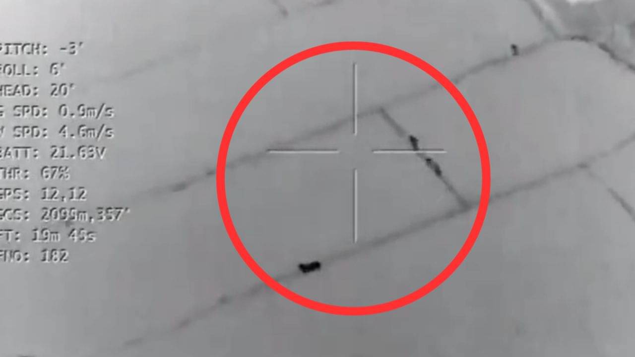 VIDEO: ভারত-বাংলাদেশ সীমান্তে গরু পাচারের ছক! সব ধরা পড়ল BSF-র ক্য়ামেরায়