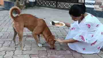 Street Dogs Bhai Dooj: যমের দুয়ারে পড়ল কাঁটা... পথকুকুরদের ভাইফোঁটা দিলেন ধূপগুড়ির কিশোরী