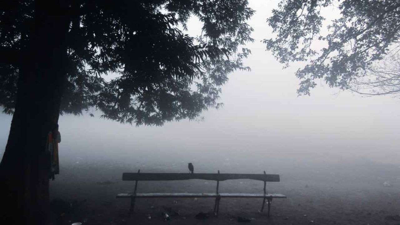 Weather Report: চলতি সপ্তাহে কলকাতায় বসেই পাবেন রবিবারের দার্জিলিং-এর ওয়েদার