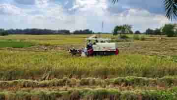 Medinipur Cultivation: যে কোনও সময়েই হতে পারে হামলা, সময়ের আগেই ধান কাটলেন চাষিরা!