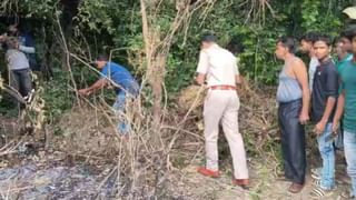 বেলডাঙায় কার্তিক পুজোয় দিলীপ, মুখোমুখি তৃণমূলের পৌরপ্রধান, কী কথা হল দু’জনের?