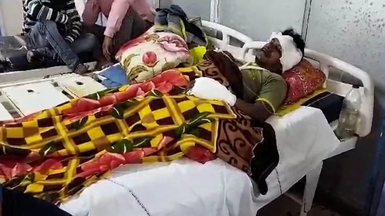 Nadia Accident News: মাছের গাড়ি যাচ্ছিল বাজারে... Nadia Accident News: মাছের গাড়ি যাচ্ছিল বাজারে...