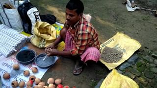 Manasha Puja Video: কালীর নিরঞ্জনের দিন মনসার চোখে জল? রইল ভিডিয়ো…