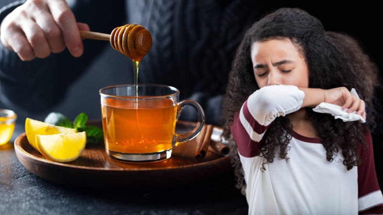 Allergy Cough অযথা খেতে হবে না কোনও ওষুধ, খুশখুশে কাশি দূর হবে ঘরোয়া উপায়ে Bengali News