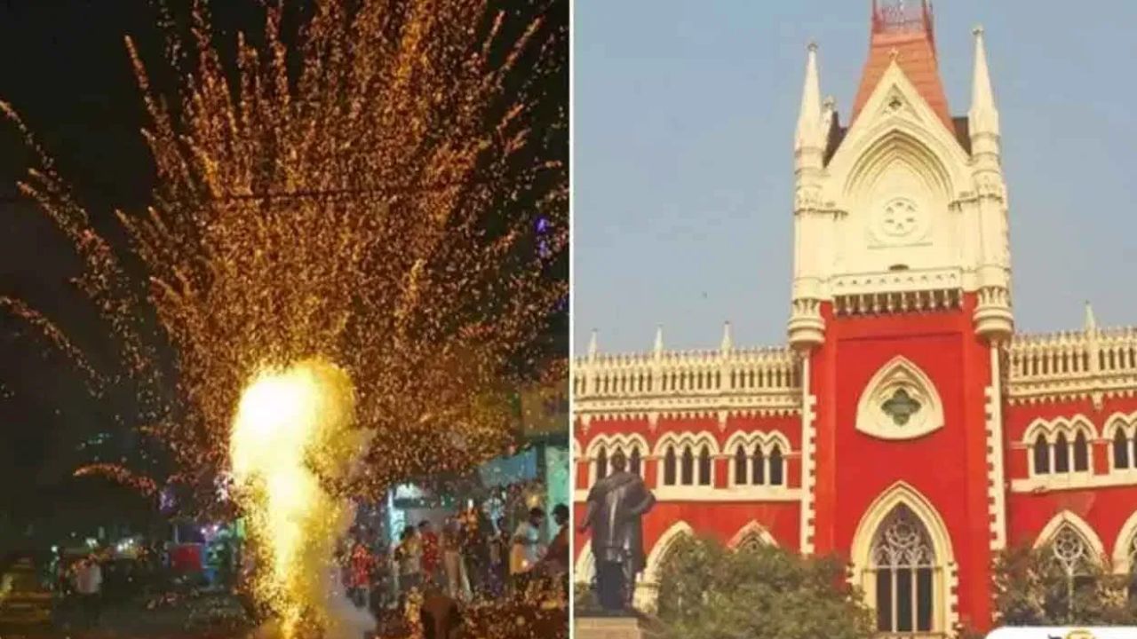 Fire Crackers: 'সবুজ বাজি হলে কি শব্দ কম বা বেশি হয়?' দূষণ নিয়ন্ত্রণ পর্ষদকে প্রশ্ন হাইকোর্টের