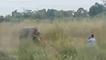 Viral Video: দাঁতাল হাতিকে উত্যক্ত করতে গিয়ে লেজ ধরে টানাটানি, লজ্জাজনক কাণ্ড দেখে ধিক্কার নেটিজেনদের