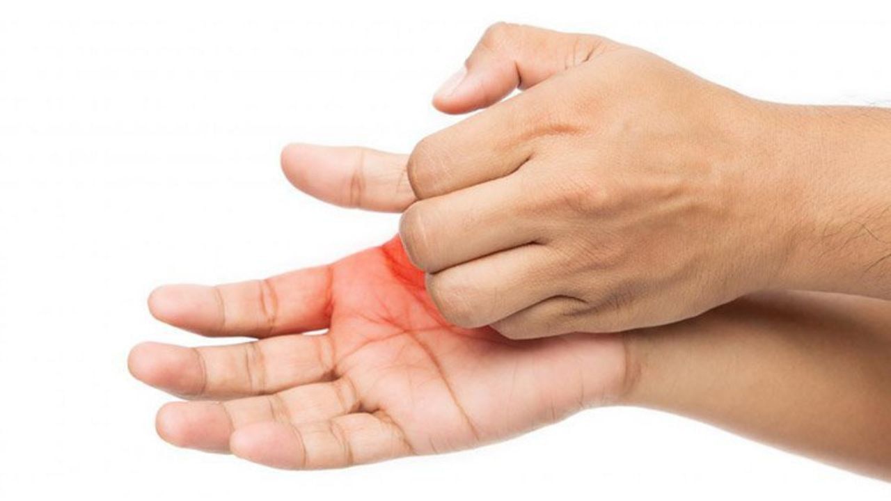 Astro Tips: সকাল থেকেই হাতের তালু চুলকে যাচ্ছে? অর্থপ্রাপ্তি না চরম ক্ষতি, সত্যিটা জানুন Astro Tips: সকাল থেকেই হাতের তালু চুলকে যাচ্ছে? অর্থপ্রাপ্তি না চরম ক্ষতি, সত্যিটা জানুন