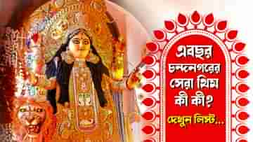 Jagadhatri Puja 2023: হীরক-সুবর্ণ জয়ন্তীতে পা দিয়েছে বহু পুজো, এবার থিমের লড়াইয়ে সেরা কোনগুলি?