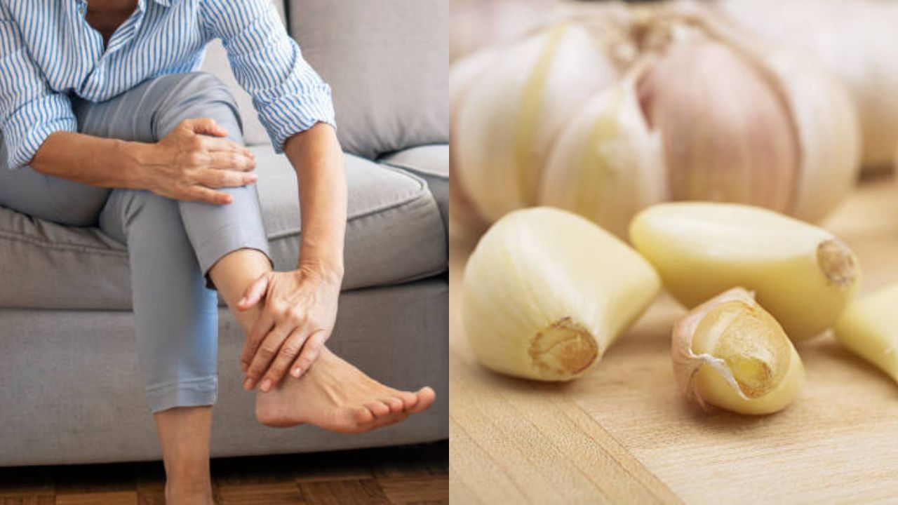 Garlic for Arthritis: শীতকাল আসলেই বাড়ে বাতের ব্যথা, কোন উপাদানে আরাম মিলবে? রইল টিপস Garlic for Arthritis: শীতকাল আসলেই বাড়ে বাতের ব্যথা, কোন উপাদানে আরাম মিলবে? রইল টিপস