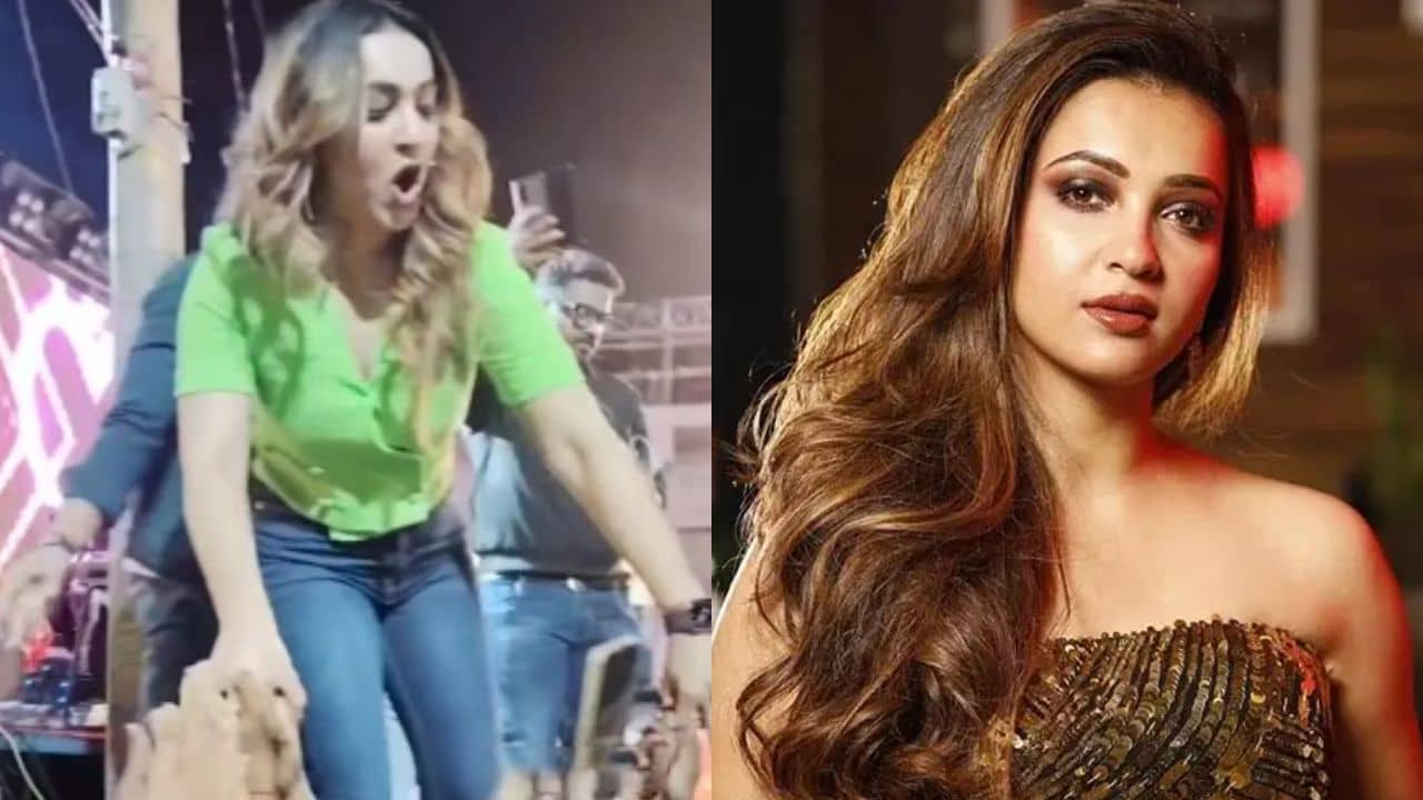 Koushani Mukherjee: নায়িকাকে নাগালে পেয়েই বাড়াবাড়ি আদর! ব্যথায় কৌশানী, রইল সেই ভিডিয়ো