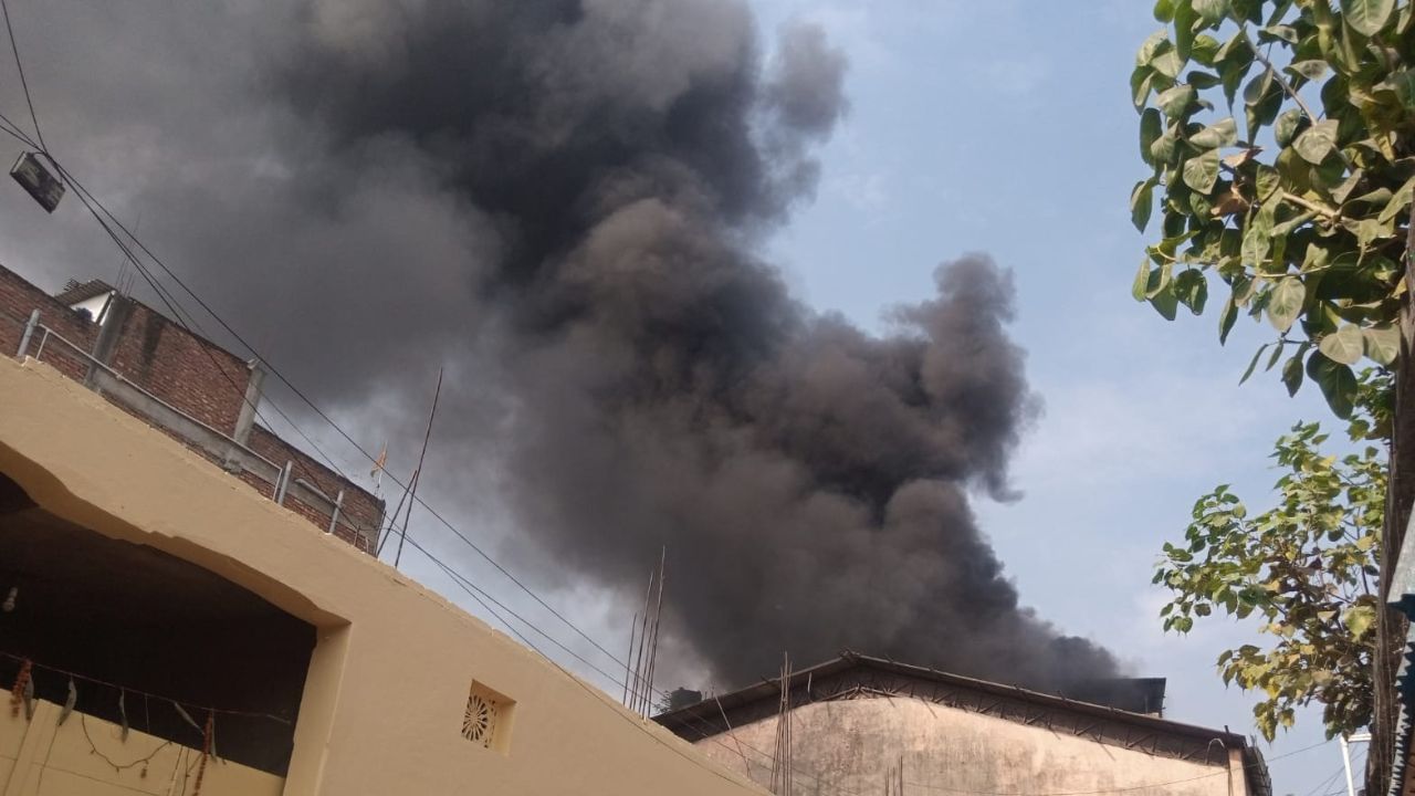 Fire: ঘুসুড়িতে প্লাস্টিকের গোডাউনে আগুন, কালো ধোঁয়ায় ঢাকছে এলাকা Fire: ঘুসুড়িতে প্লাস্টিকের গোডাউনে আগুন, কালো ধোঁয়ায় ঢাকছে এলাকা