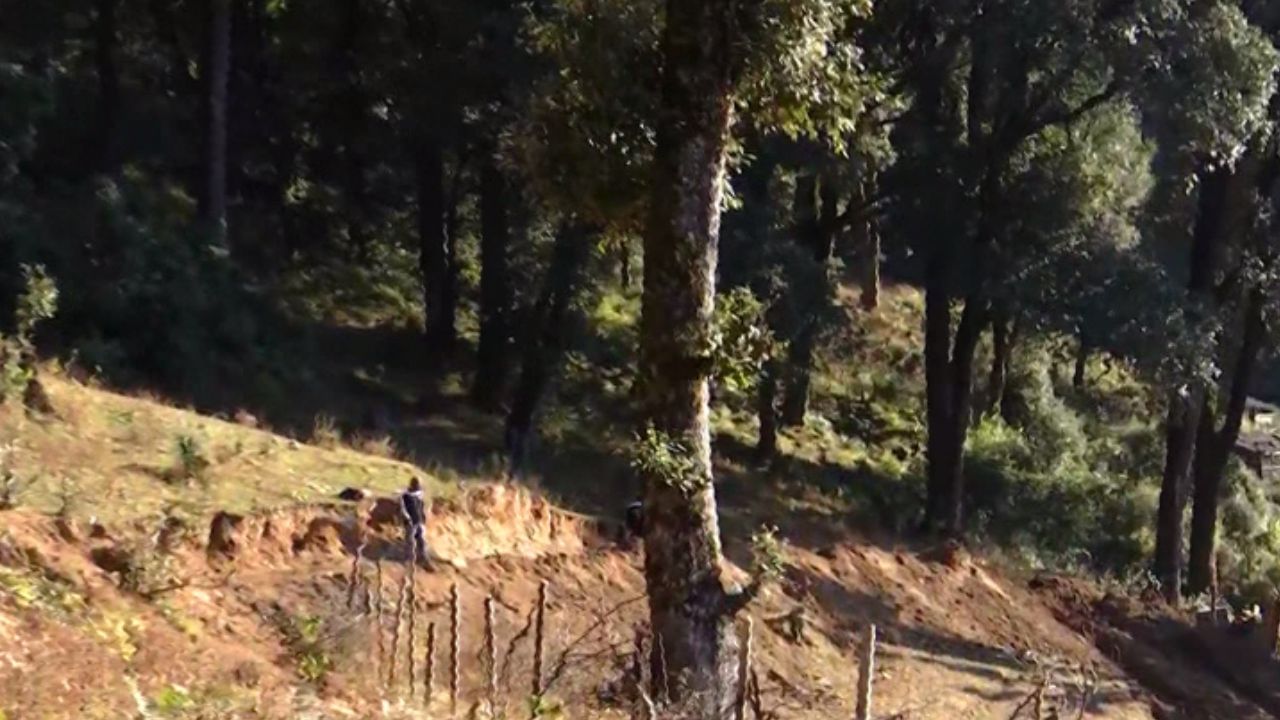 Uttarkashi: গভীর জঙ্গলে ঘেরা পাহাড় কেটে সুড়ঙ্গে পৌঁছনোর বিকল্প রাস্তা খনন, ধরা পড়ল টিভি৯ বাংলার ক্যামেরায়