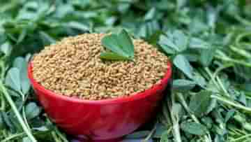 Methi for Weight Loss: কুমড়োর তরকারি থেকে বিউলির ডাল, ফোড়নে মেথি দিলেই কমবে ওজন