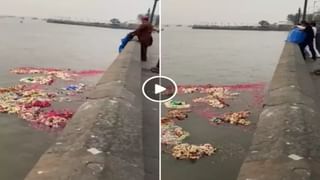 Viral Video: সকালে চায়ের সঙ্গে টোস্ট বিস্কুট চাইই চাই! কারখানার ভিডিয়ো দেখলে কী করবেন?