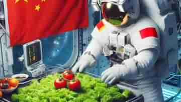 Farming In Space: মহাকাশে টমেটো এবং লেটুস ফলিয়ে ইতিহাস চিনের, কীভাবে হল অসাধ্য সাধন?