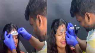 Viral Video: প্রাণের বান্ধবকে আলিঙ্গনে দুই পায়ে দাঁড়িয়ে পড়ল বিরাট বাঘ, দেখুন