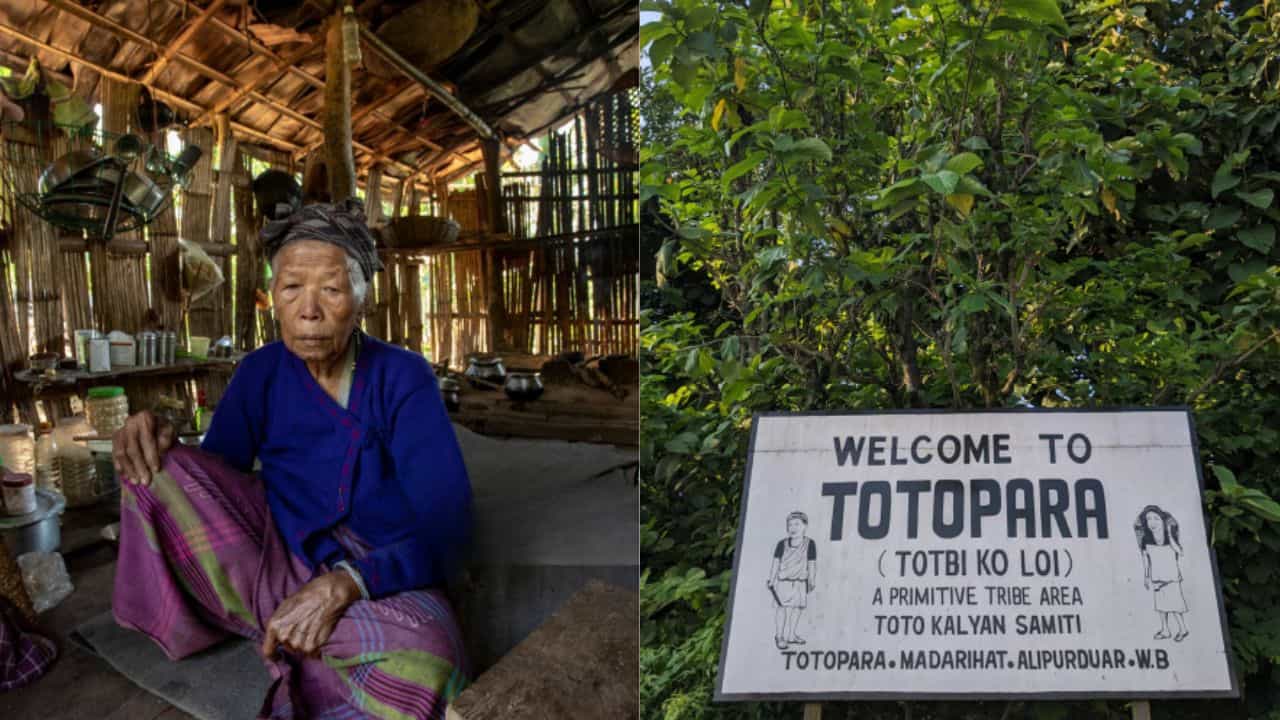 Alipurduar: টোটো আর টোটোপাড়ার গল্প জানতে হলে যোগ দিন 'টুনথুংকামু'-এ Alipurduar: টোটো আর টোটোপাড়ার গল্প জানতে হলে যোগ দিন 'টুনথুংকামু'-এ