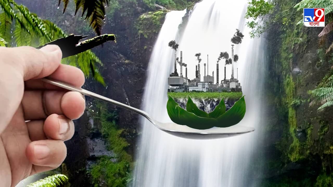 Climate Change: একমাত্র নিরামিষ খাবারই বাঁচাতে পারে পৃথিবীকে, কতটা সঙ্কট বাড়াচ্ছে মাংস ভক্ষণ?