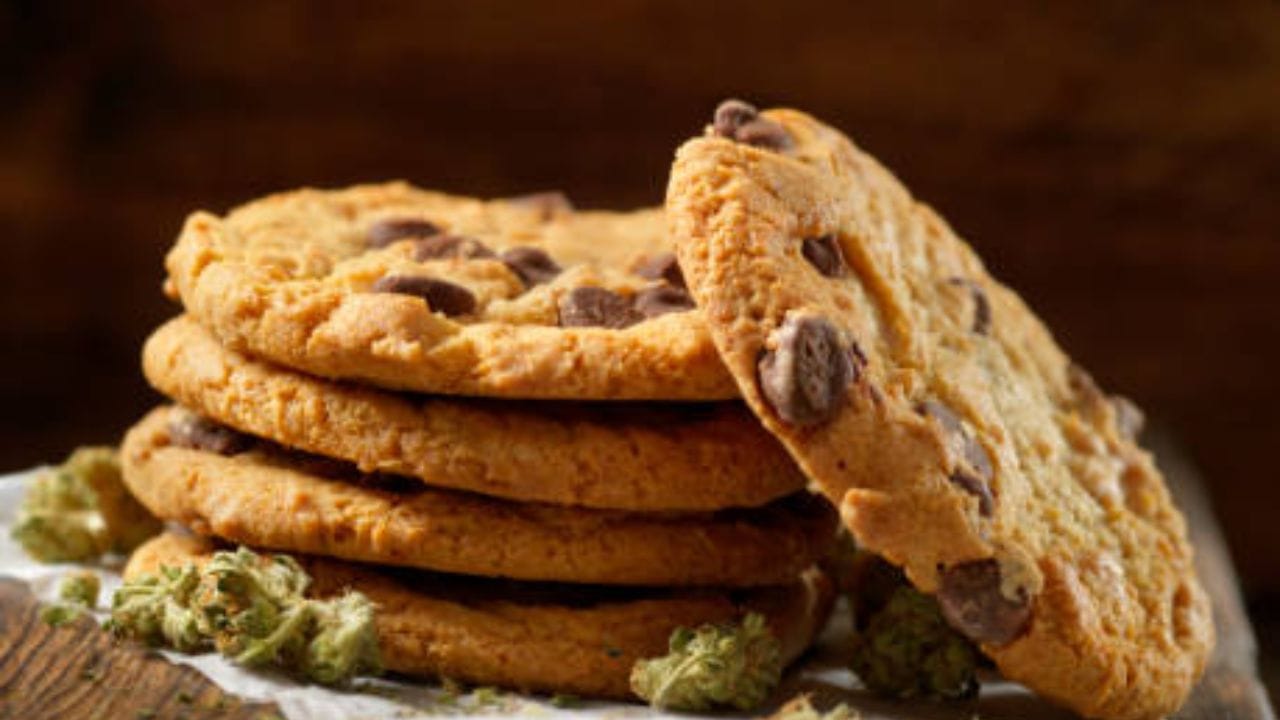 যতই কিনে খাওয়া হোক না কেন বাড়িতে বানানো খাবারের স্বাদই আলাদা হয়। বাড়িতে বেক করা গরম কেক, পাঁউরুটি খেতো তো দারুণ লাগে। এবার বানিয়ে নিন বিস্কুট