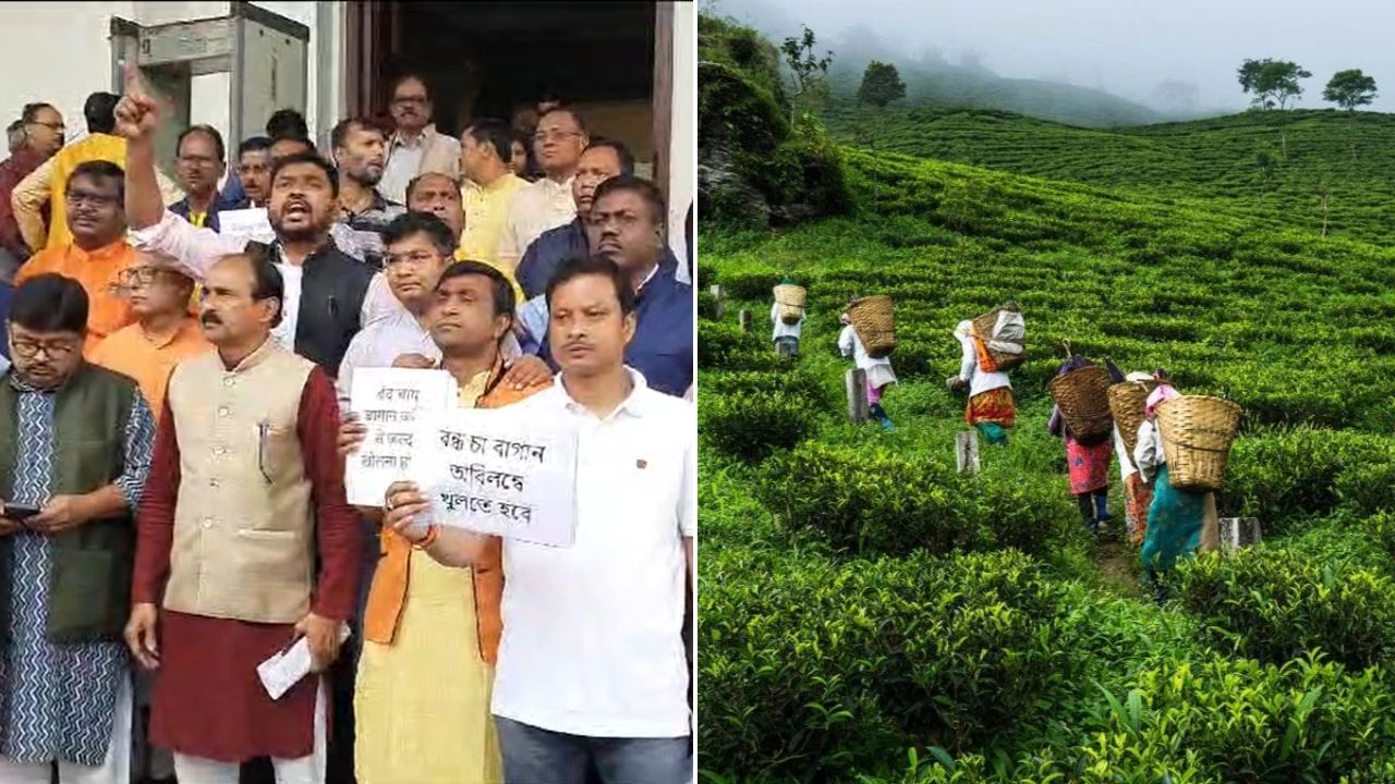 Tea Gardens of North Bengal: মমতার উত্তরবঙ্গ সফরের দিনেই বন্ধ চা বাগানের ইস্যুতে ওয়াকআউট বিজেপির