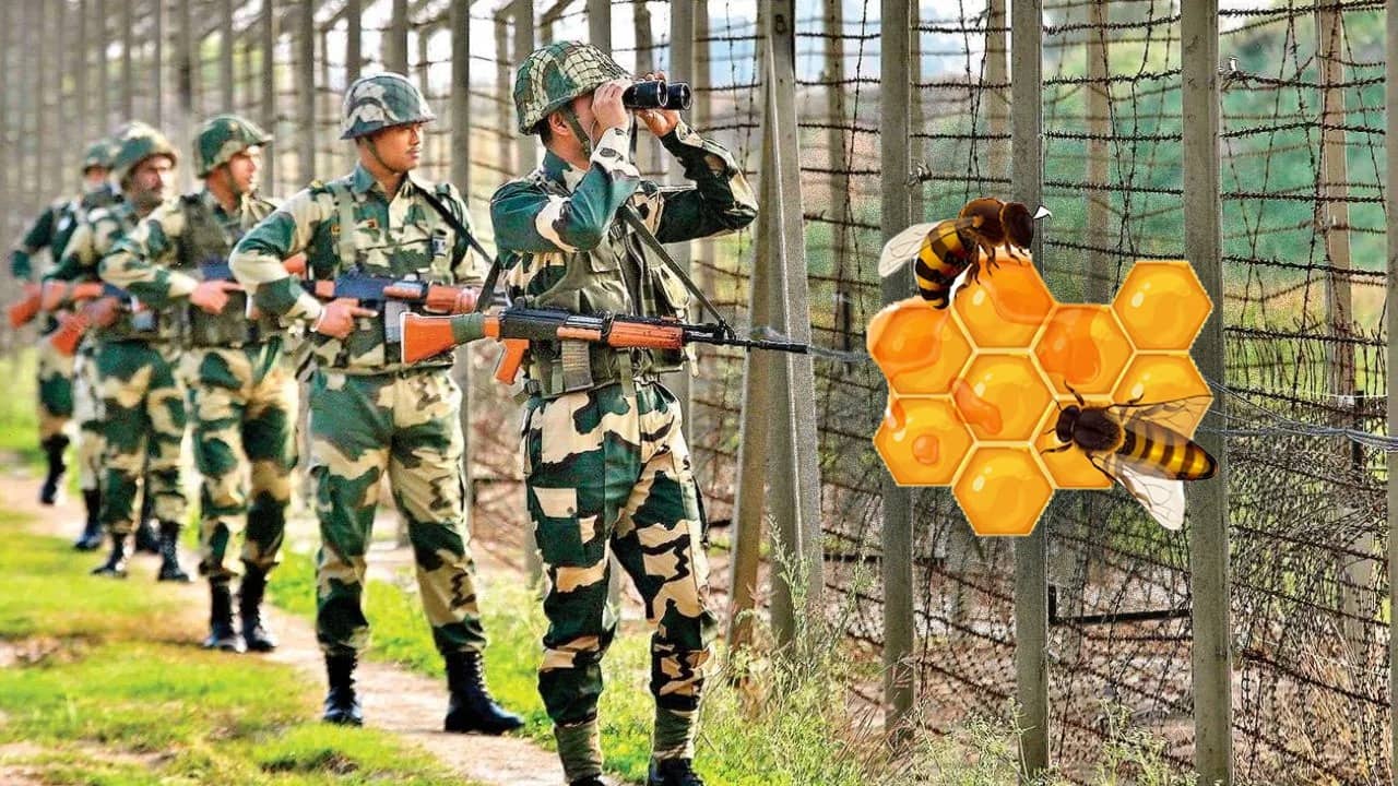 BSF: মধু খাবে সেনা, হুল ফুটবে অবৈধ বাংলাদেশিদের- অনুপ্রবেশ রুখতে নয়া কৌশল কেন্দ্রের