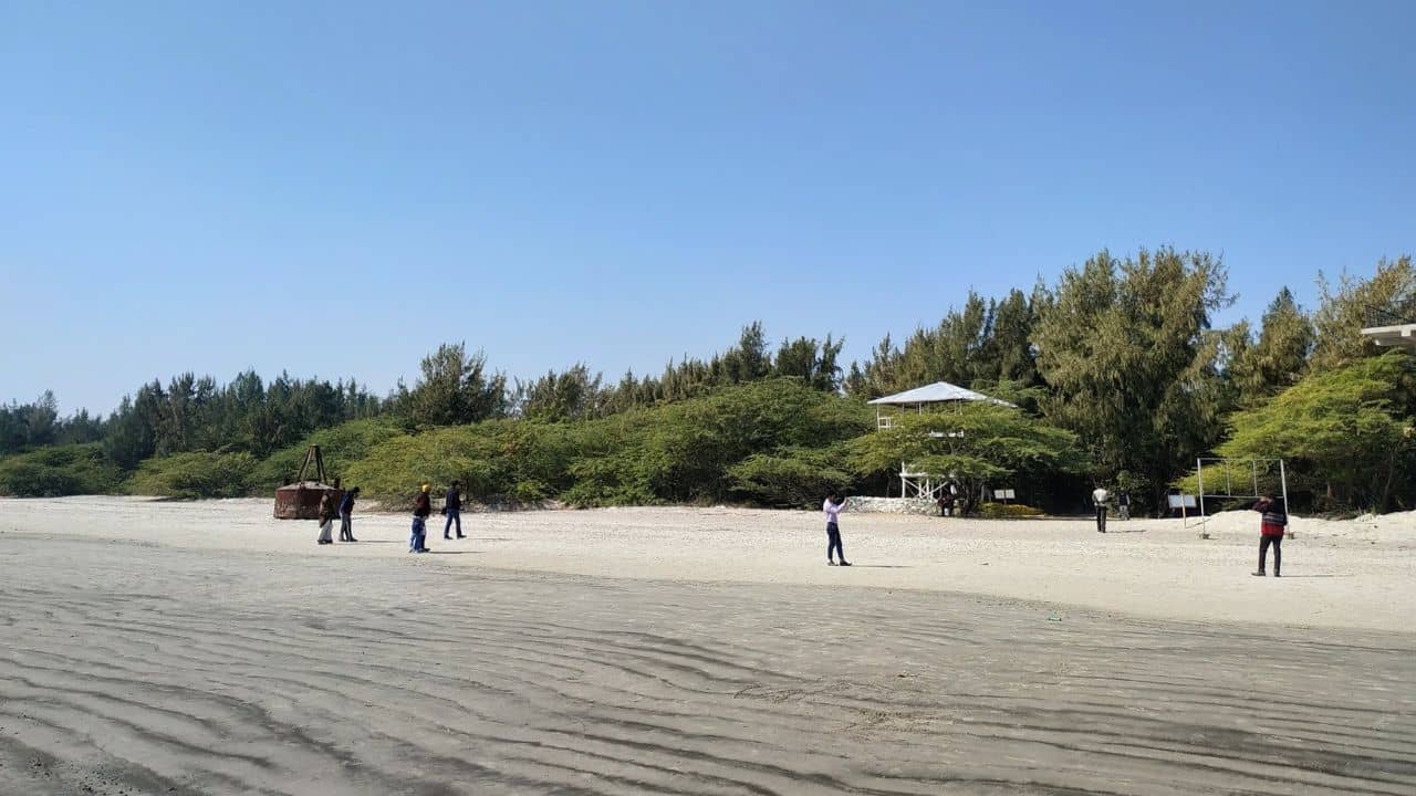 Bakkhali: ধ্বংসের মুখে বকখালির সৌন্দর্য, কারণ জানেন ?