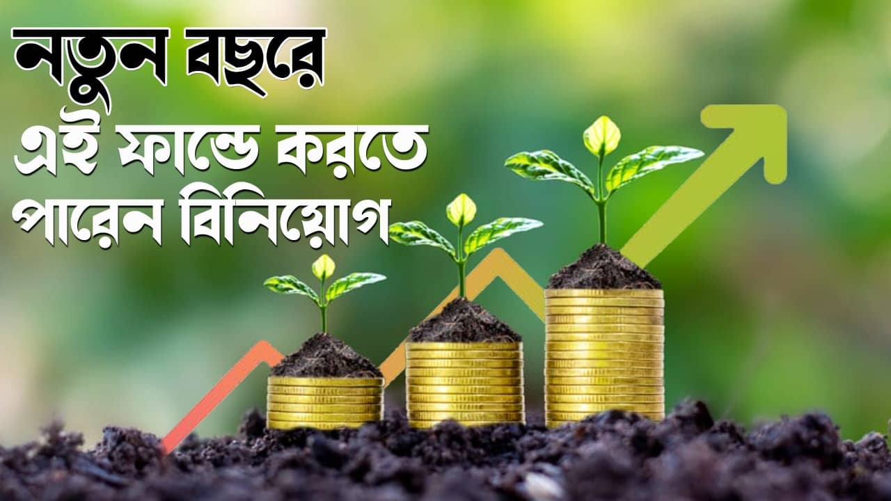 Best Large Cap Mutual Funds: নতুন বছরে কোন মিউচুয়াল ফান্ড দিতে পারে ঝুঁকিহীন গ্রোথ?