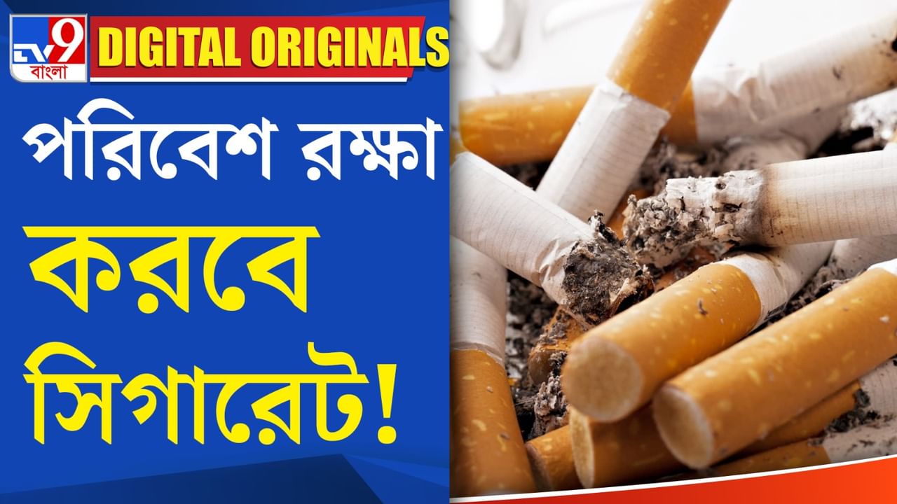 Cigarette Butts: সিগারেটের উপকারিতা খুঁজে পেল বিজ্ঞানীরা