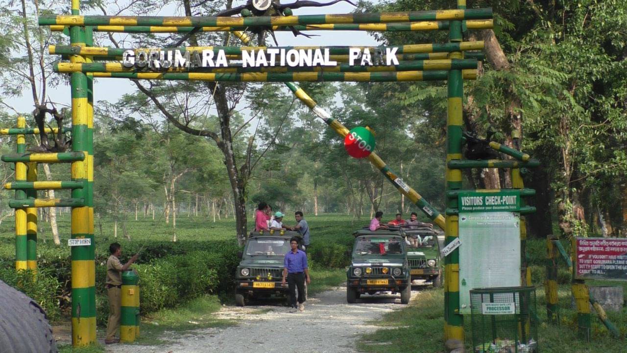 Dooars:  ডুয়ার্স ঘোরার খরচ হয়ে গেল পুরোটাই হাফ, নতুন ব্যবস্থাপনায় জেনে নিন জন প্রতি খরচ