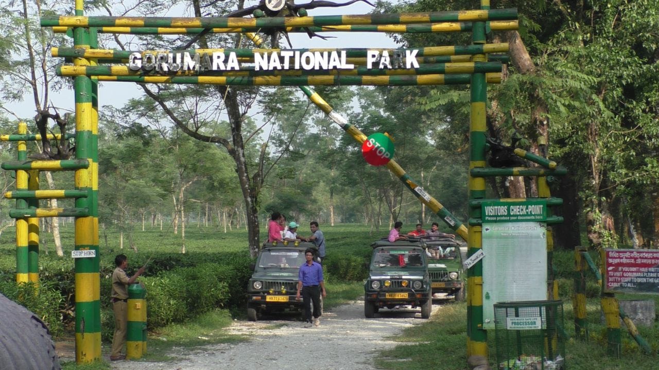 Dooars: ডুয়ার্স ঘোরার খরচ হয়ে গেল পুরোটাই হাফ, নতুন ব্যবস্থাপনায় জেনে নিন জন প্রতি খরচ Dooars: ডুয়ার্স ঘোরার খরচ হয়ে গেল পুরোটাই হাফ, নতুন ব্যবস্থাপনায় জেনে নিন জন প্রতি খরচ