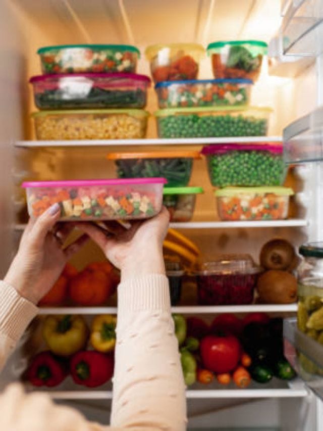 ফ্রিজে ফুটন্ত খাবার রাখা উচিত? TV9Bangla Is It Safe To Put Hot Food