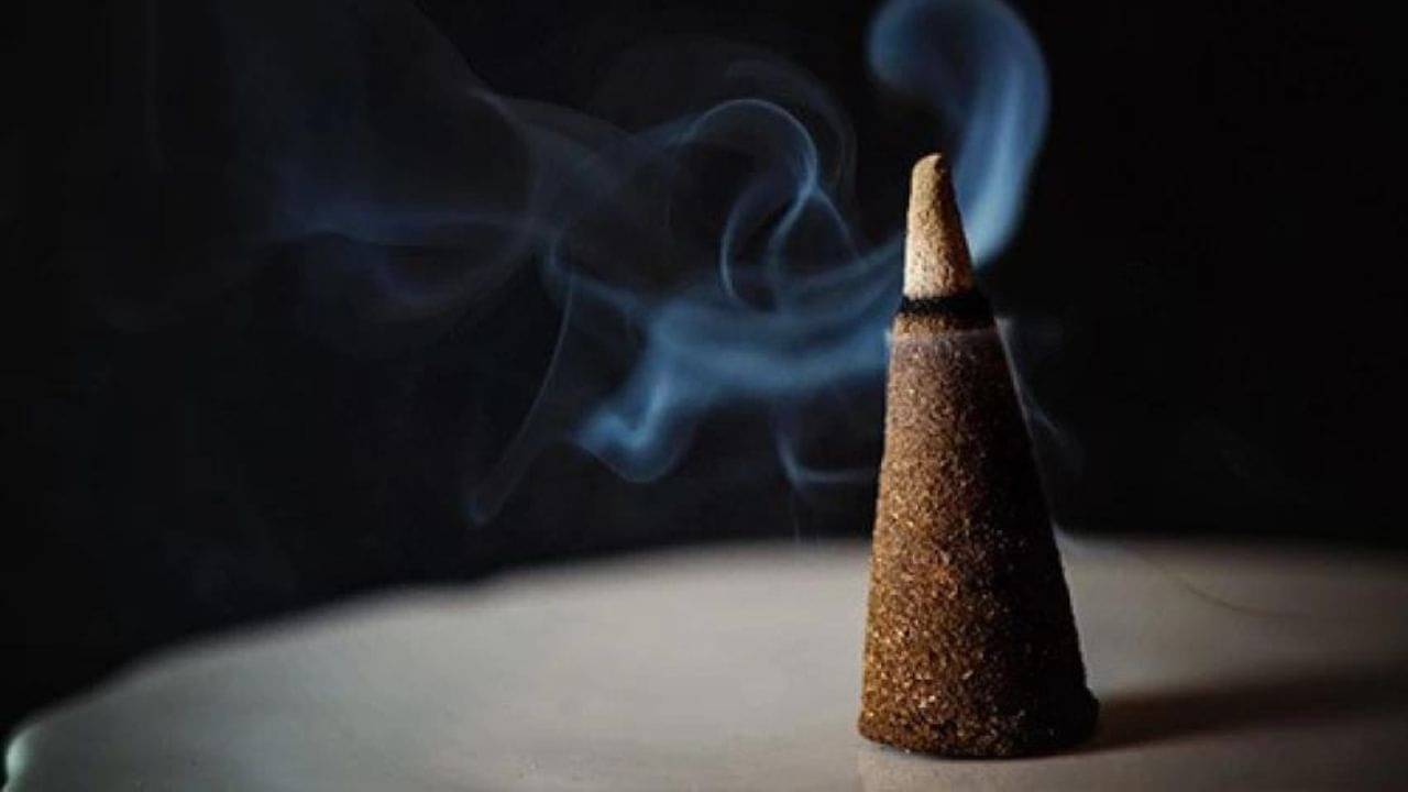 Guggal Dhoop Tips: বাড়িতে পুজো হলে এই ধূপ ব্যবহার করেন? জীবনটা বদলাতে এর গুরুত্ব জানুন