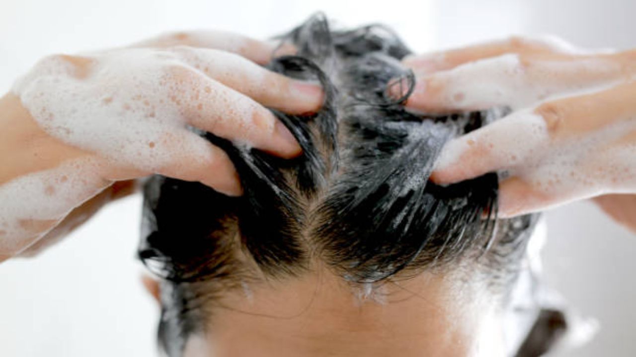 Hair care (3)