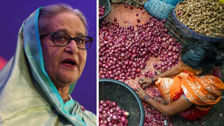 Onion Price:  বিপদের মুখে বাংলাদেশ, কোটি কোটি টাকার পেঁয়াজ পচছে পশ্চিমবঙ্গের মাটিতেই