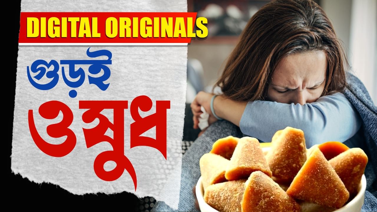 Jaggery Benifits: গুড়ের গুন জানলে অবাক হবেন