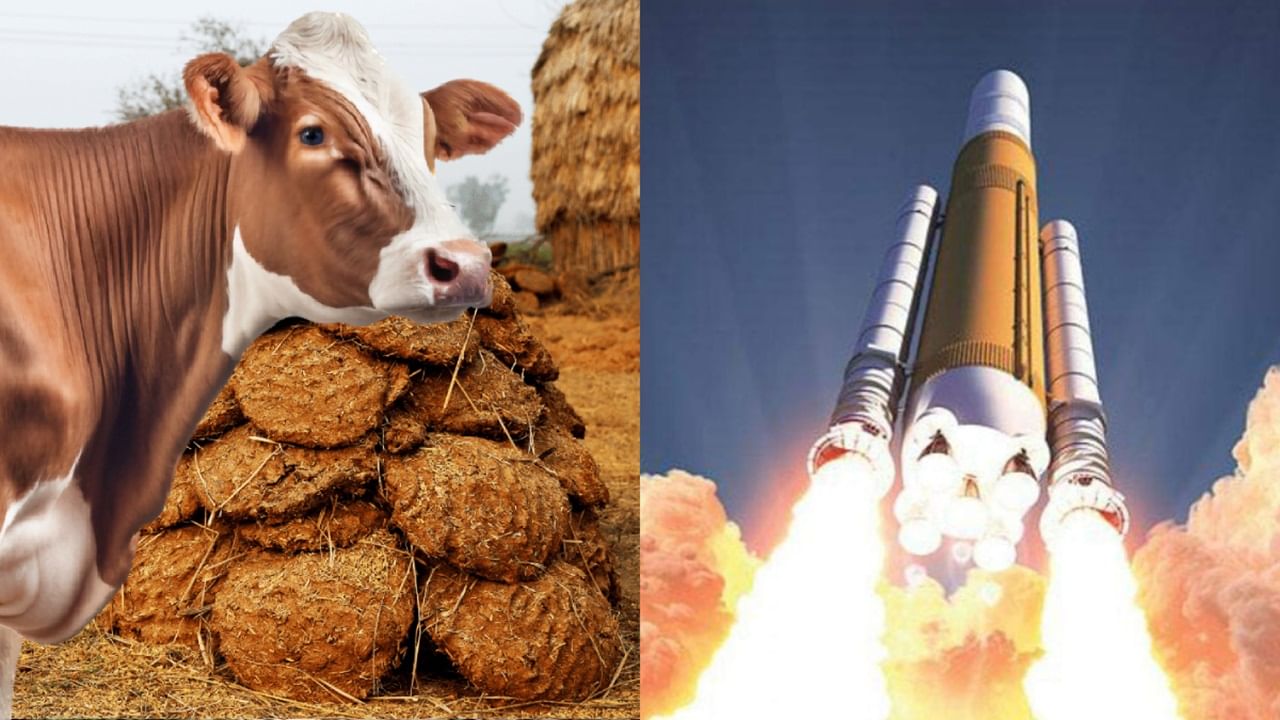 Cow Dung Rocket: গরুর গোবর দিয়ে উড়ল রকেট! জাপানের অবিশ্বাস্য প্রযুক্তি